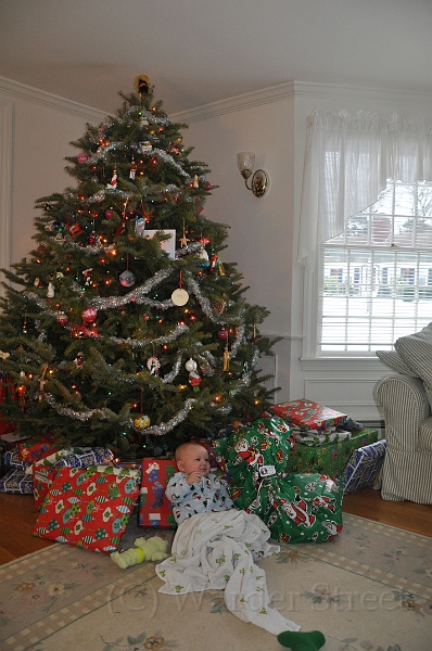 William's Twenty-Seventh Week 42.jpg